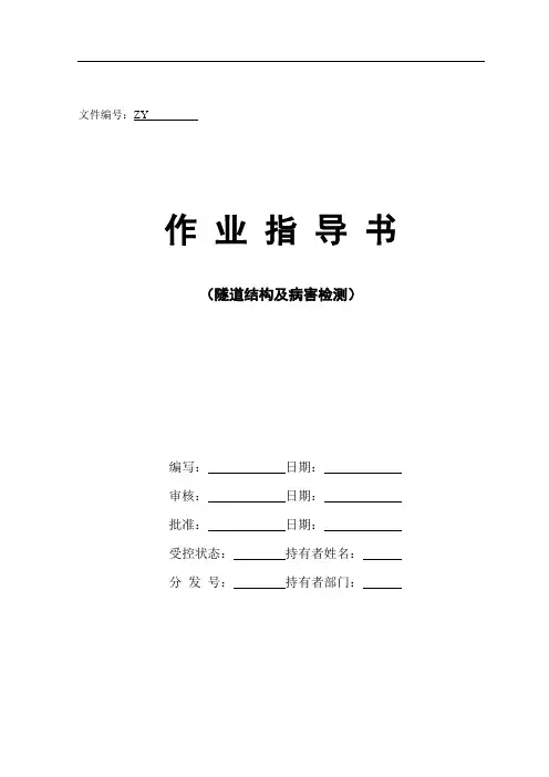 隧道结构及病害检测作业指导书