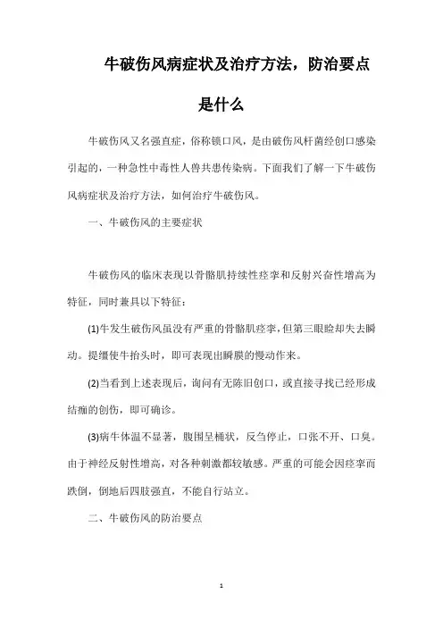 牛破伤风病症状及治疗方法,防治要点是什么