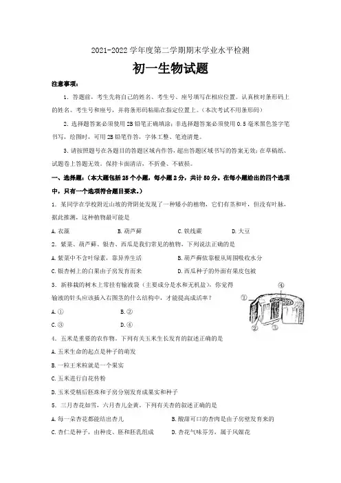 山东省烟台莱州市(五四制)2021-2022学年六年级下学期期末考试生物试题
