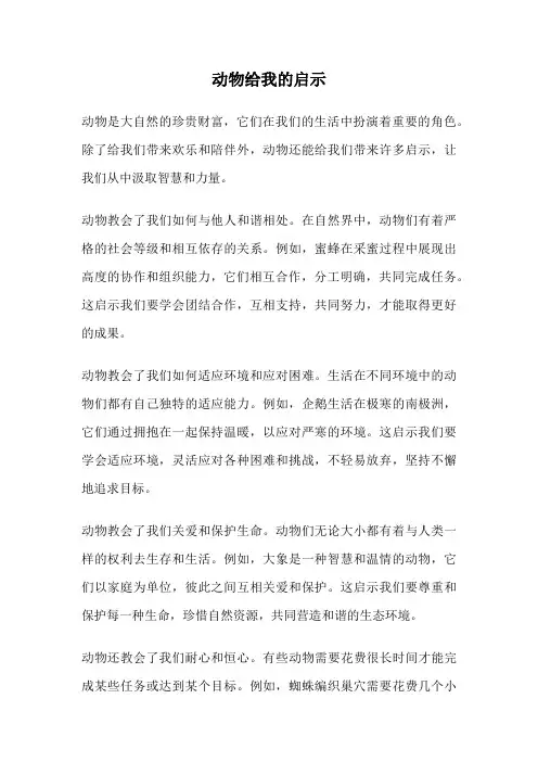 动物给我的启示