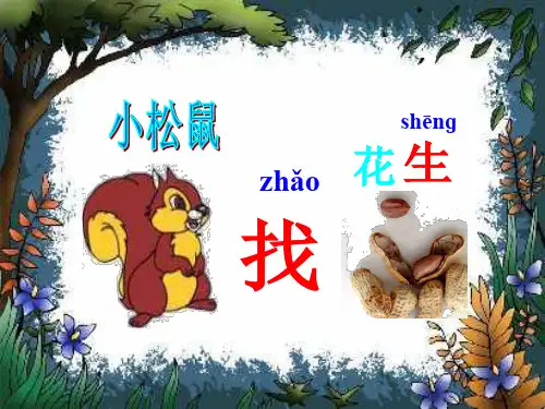 《小松鼠找花生》课件ppt
