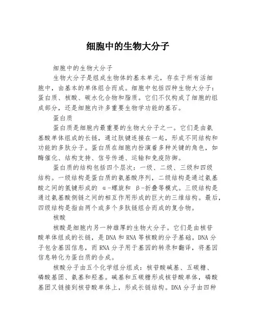 细胞中的生物大分子