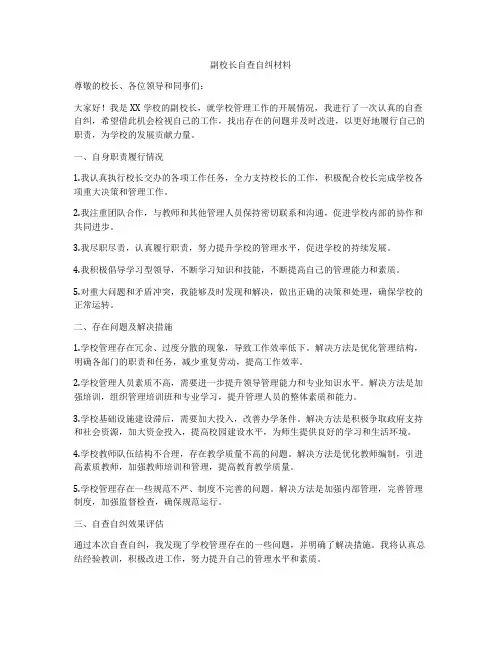 副校长自查自纠材料