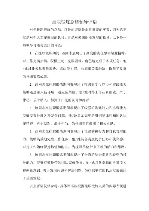 挂职锻炼总结领导评语