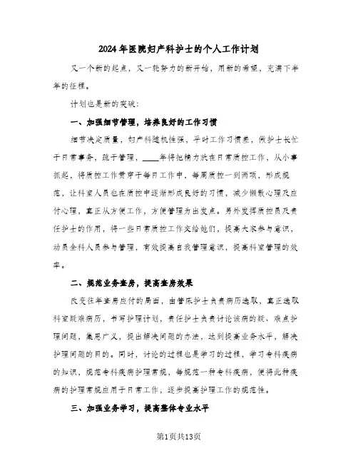 2024年医院妇产科护士的个人工作计划(4篇)