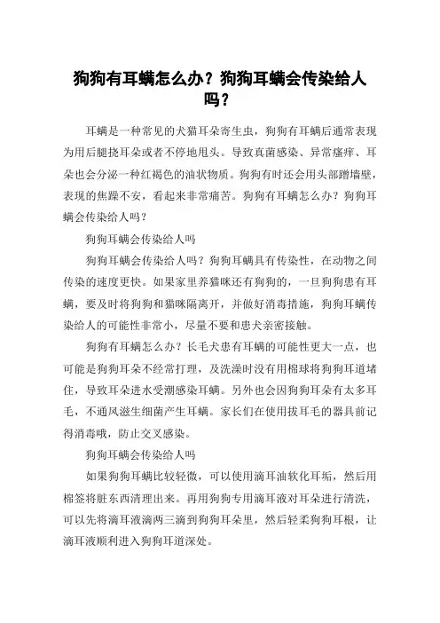狗狗有耳螨怎么办？狗狗耳螨会传染给人吗？