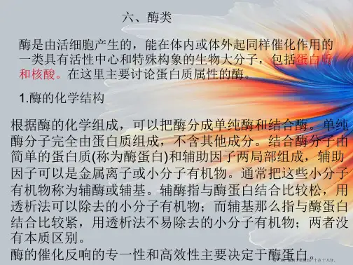 高中生物 酶类课件
