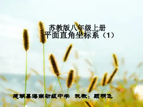 苏科版八年级上册数学：5。2 平面直角坐标系(公开课课件)
