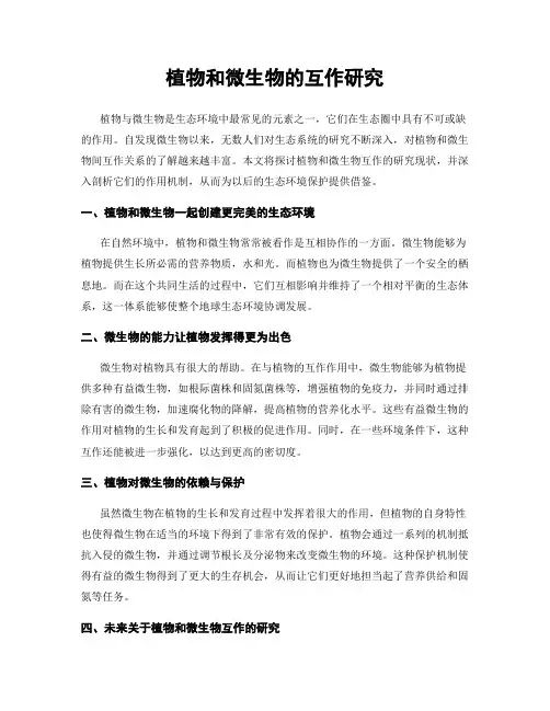 植物和微生物的互作研究