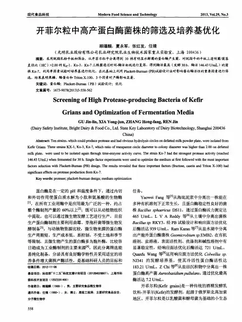 开菲尔粒中高产蛋白酶菌株的筛选及培养基优化