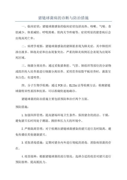 猪链球菌病的诊断与防治措施