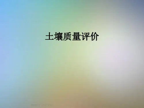 土壤质量评价
