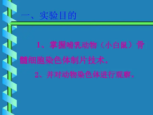 实验九小鼠骨髓细胞染色体标本制备