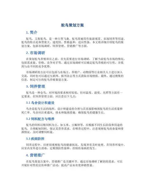 鸵鸟策划方案