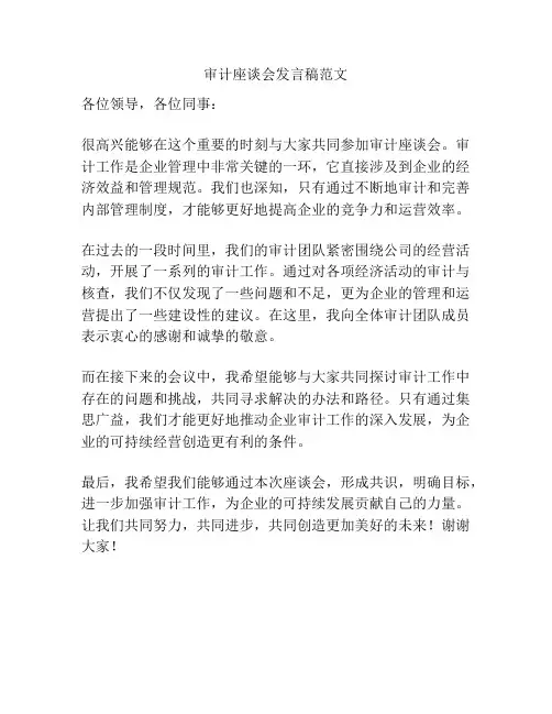 审计座谈会发言稿范文