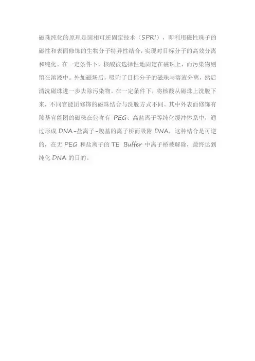 磁珠纯化的原理