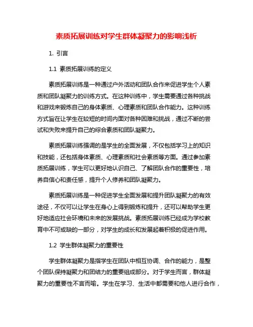 素质拓展训练对学生群体凝聚力的影响浅析