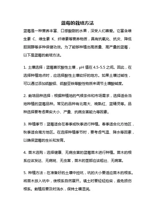 蓝莓的栽培方法