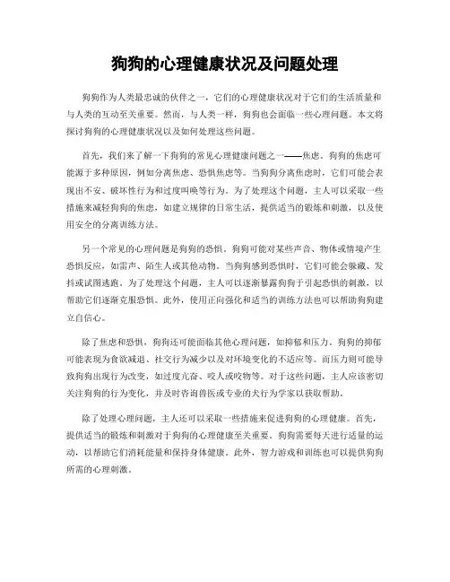 狗狗的心理健康状况及问题处理