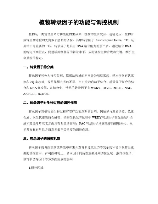 植物转录因子的功能与调控机制