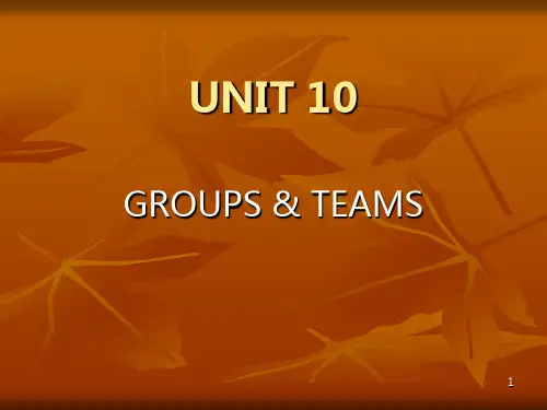 Groups-and-Teams(团队合作) PPT课件