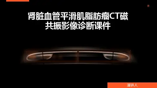 肾脏血管平滑肌脂肪瘤CT磁共振影像诊断课件