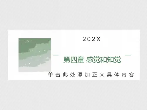 心理学基础第四章感觉和知觉