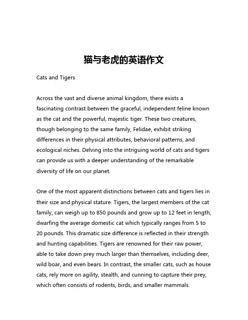 猫与老虎的英语作文