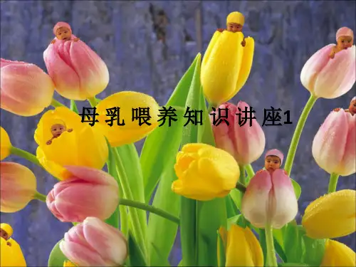 母 乳 喂 养 知 识 讲 座1ppt课件