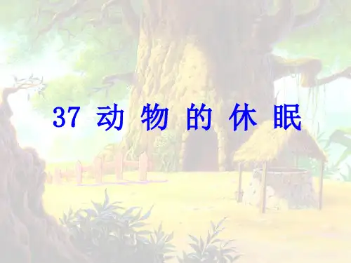 动物的休眠