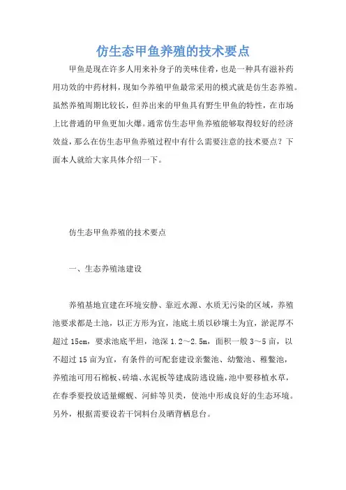仿生态甲鱼养殖的技术要点