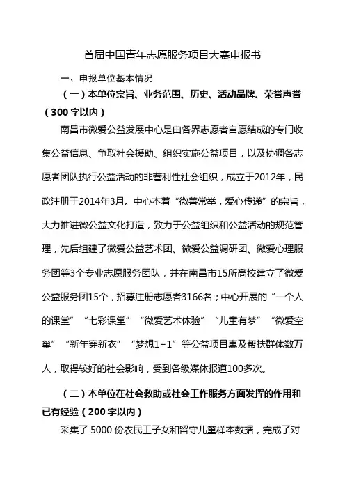 首届中国青年志愿服务项目大赛申报书E路同行伴青少年成长