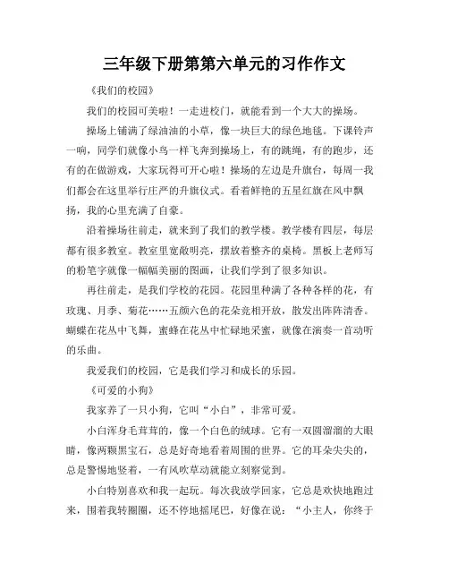 三年级下册第第六单元的习作作文