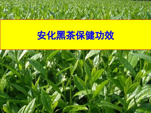 安化黑茶保健功效