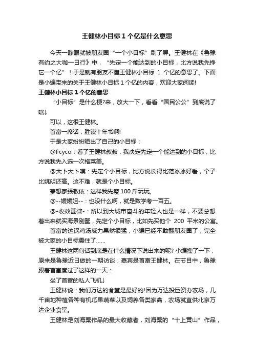 王健林小目标1个亿是什么意思