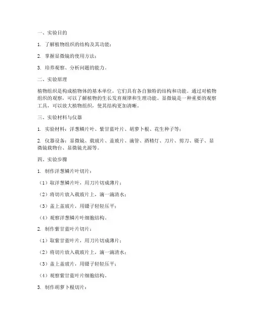 植物组织观察的实验报告