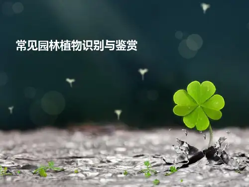 常见园林植物识别图谱与鉴别1-40