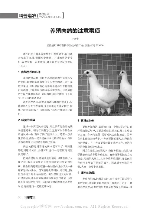 养殖肉鸽的注意事项