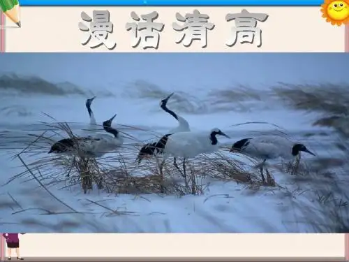 高二语文《漫话清高》课件