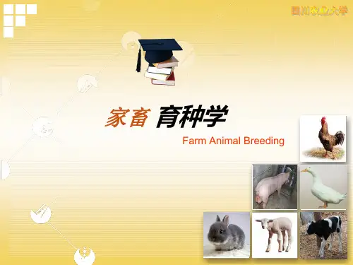 家畜育种学课件一