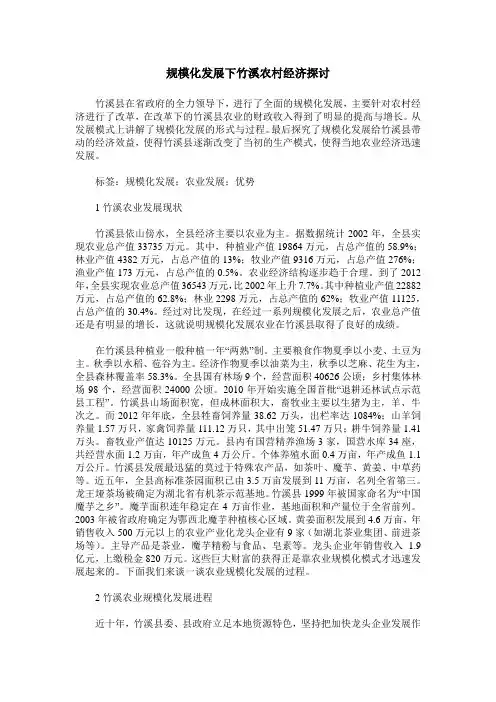 规模化发展下竹溪农村经济探讨