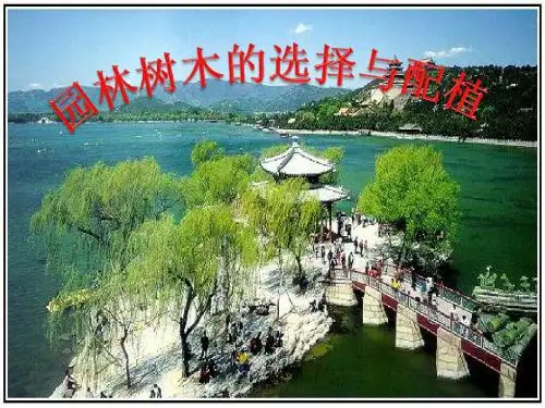06园林树木的配置
