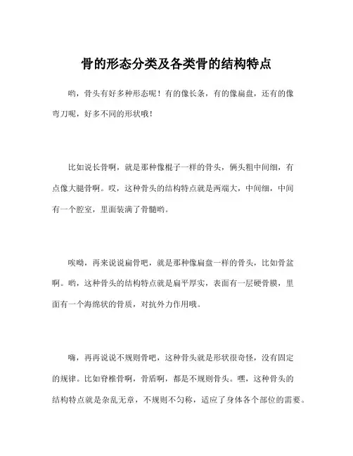骨的形态分类及各类骨的结构特点