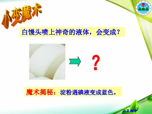 1.2唾液淀粉酶实验课件-济南版七年级生物下册