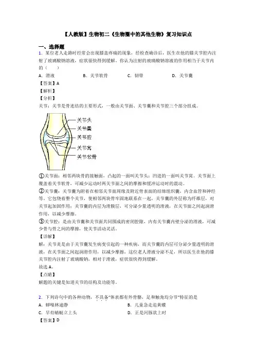 【人教版】生物初二《生物圈中的其他生物》复习知识点