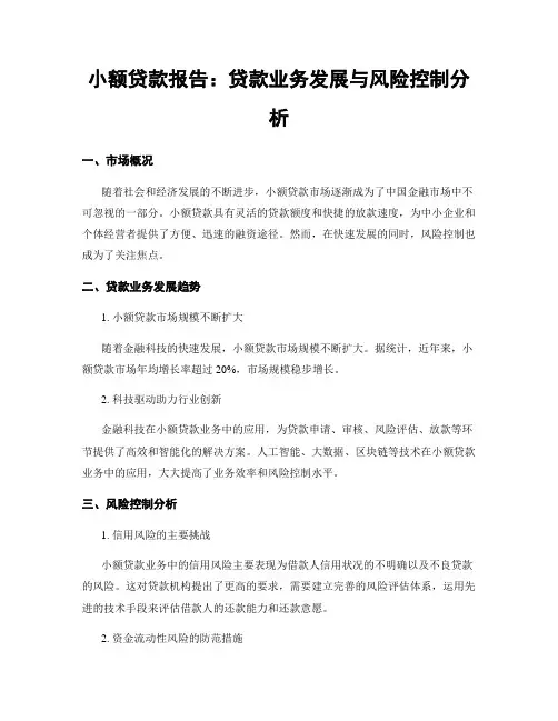 小额贷款报告：贷款业务发展与风险控制分析