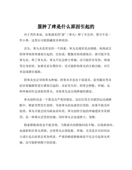 蛋肿了疼是什么原因引起的