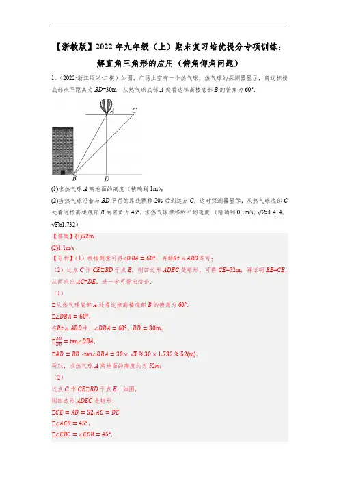 解直角三角形的应用：俯角仰角问题 (解析版)