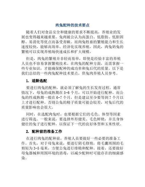 肉兔配种的技术要点