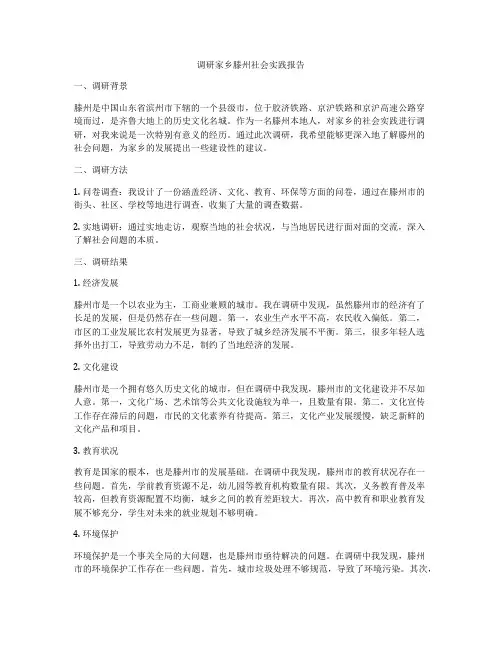 调研家乡滕州社会实践报告